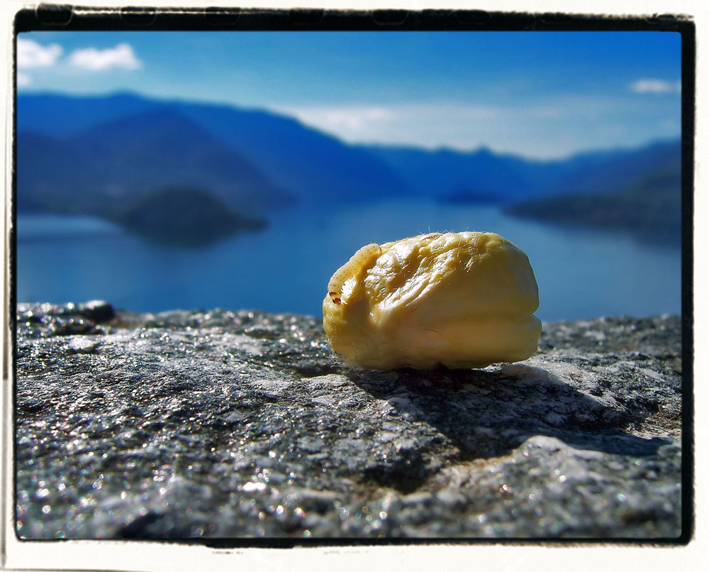 mi avvicino alla macro